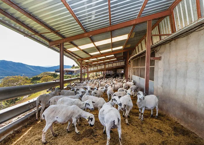 Apartment Milano Campo (Huesca)